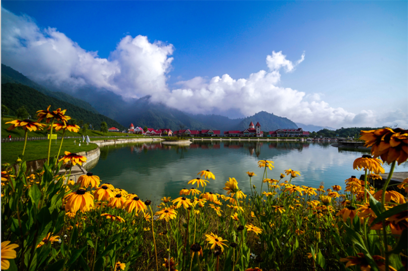 1512188888014099682.png QQ截圖20171118142949.png