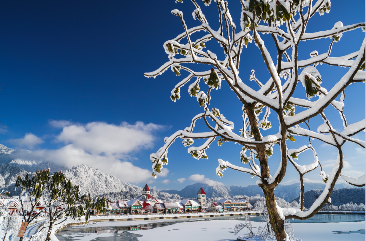 1512189135248063039.png QQ截圖20171202111501.png