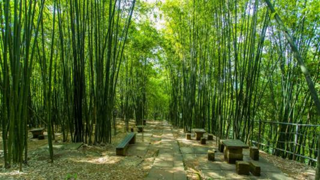 1539940170814018247.png image.png