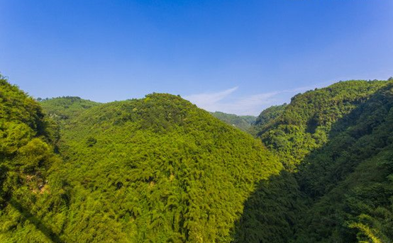 1539940216835054656.png image.png