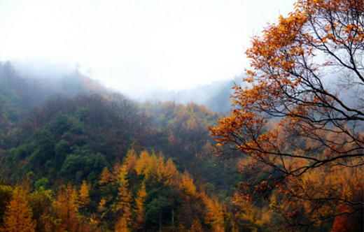 1539940666527057970.png image.png