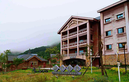 1539940734124055775.png image.png