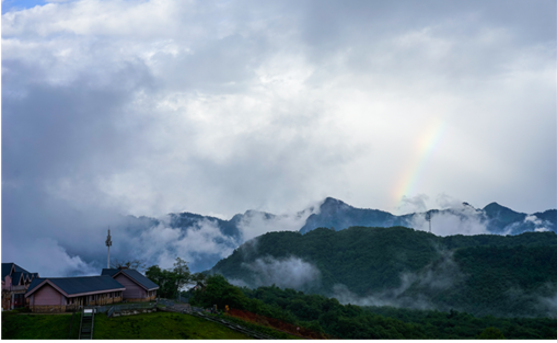 1539940757067082351.png image.png