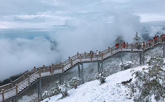 1539940788261090028.png image.png