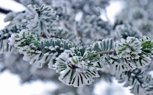 1539940797864085527.png image.png