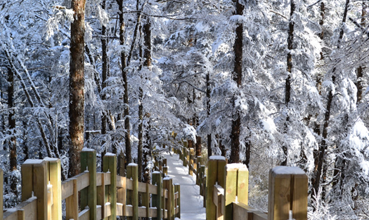 1539940824044014010.png image.png