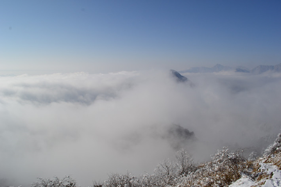 1539940840580019324.png image.png