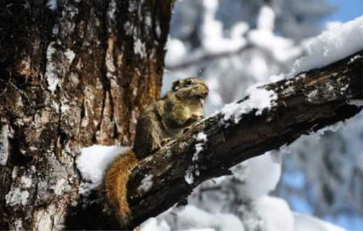 1539940848791001639.png image.png