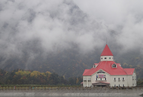 1540540108665019263.png image.png