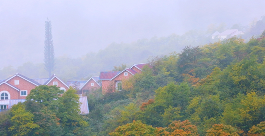 1540540184136014925.png image.png