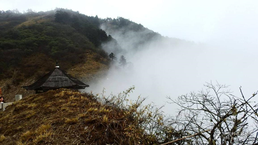 1540540336857054771.png image.png