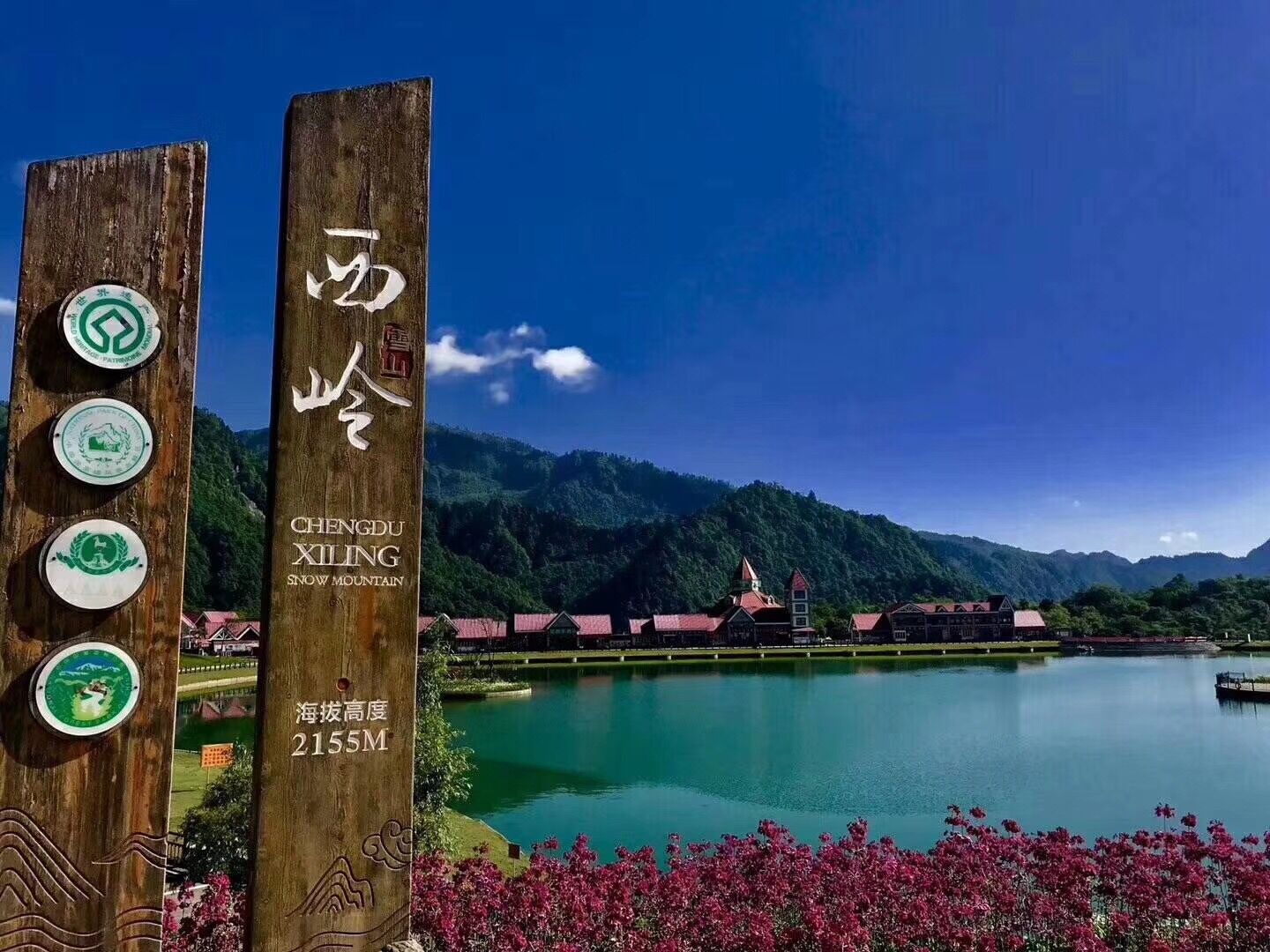 報(bào)春花開(kāi) 美麗自來(lái)