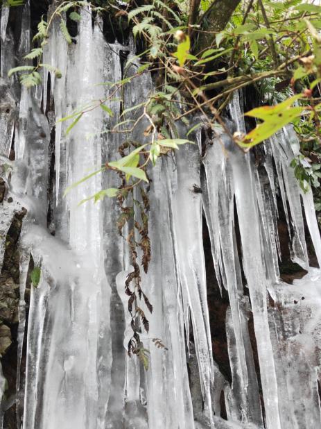 無法凝固的春色